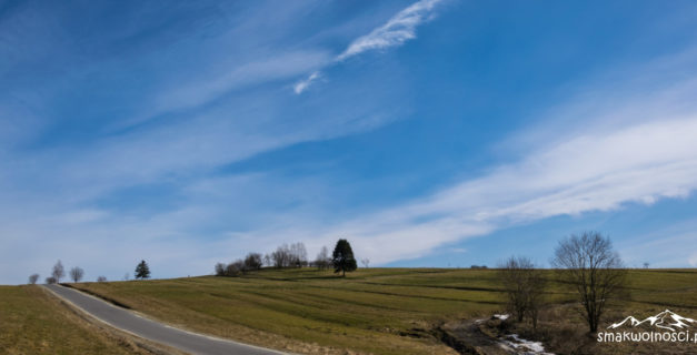 wczesnowiosenne Pieniny